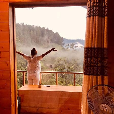 Green Nature Paradise إيلا المظهر الخارجي الصورة