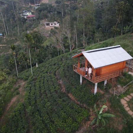 Green Nature Paradise إيلا المظهر الخارجي الصورة