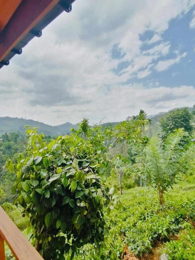 Green Nature Paradise إيلا المظهر الخارجي الصورة