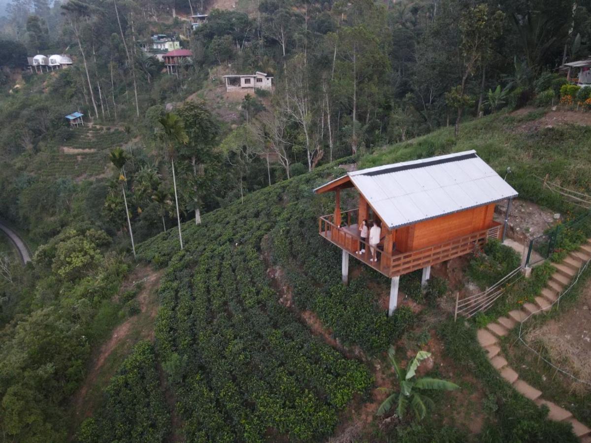 Green Nature Paradise إيلا المظهر الخارجي الصورة