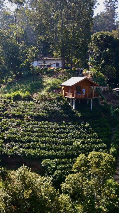 Green Nature Paradise إيلا المظهر الخارجي الصورة