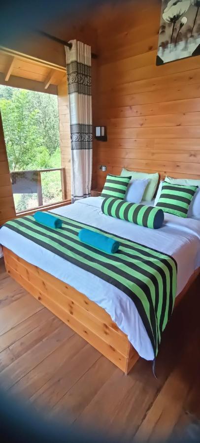 Green Nature Paradise إيلا المظهر الخارجي الصورة